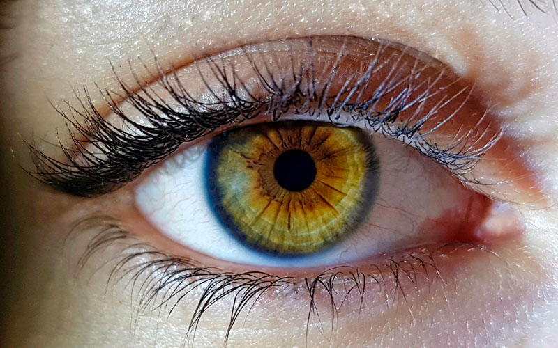 EMDR